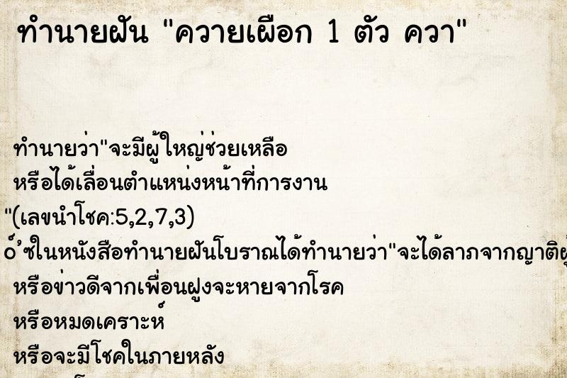 ทำนายฝันควายเผือก1ตัวควา ทำนายฝันทำนายฝันควายเผือก1ตัวควา